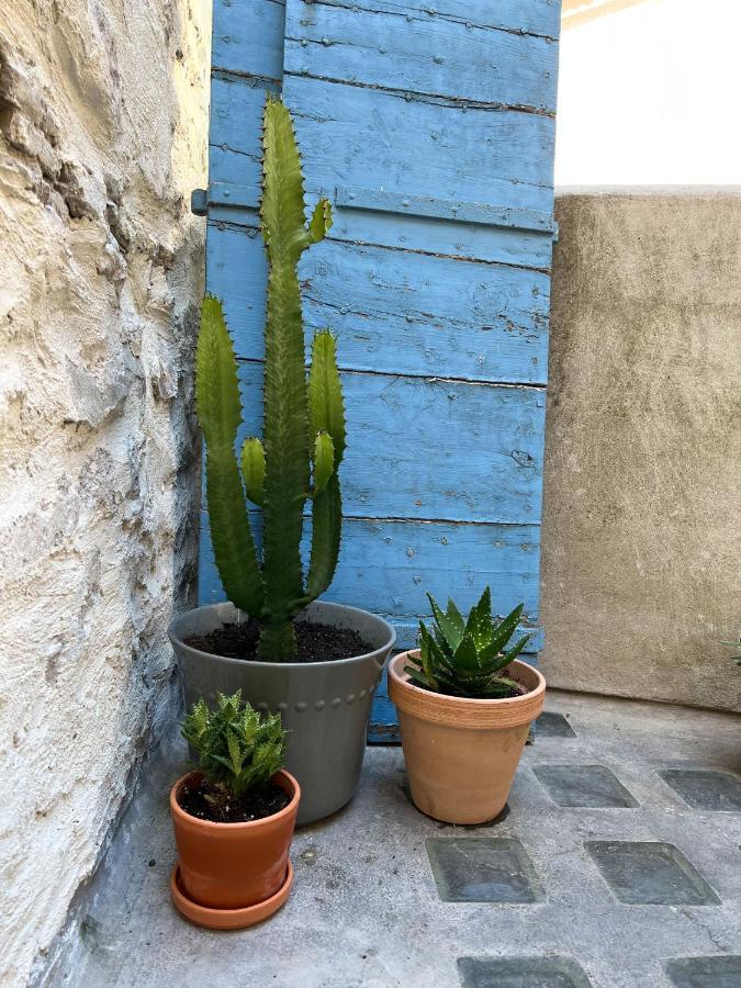 Spacious 2br In Historical Center With Terrace Appartamento